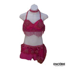 Pink Appliqué Costume  two piece