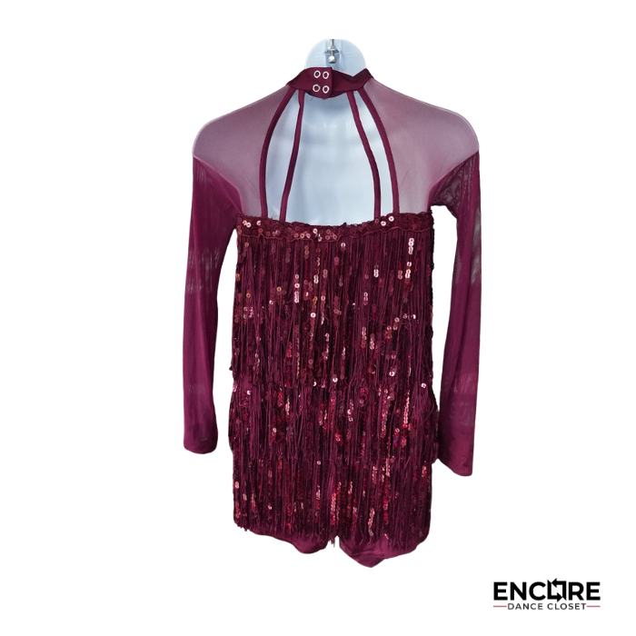 Burgundy Sequin Fringe Jazz Costume with Sheer Long Sleeves  dress