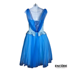 Teal Sequin Tutu Dance Costume with Tulle Skirt  dress