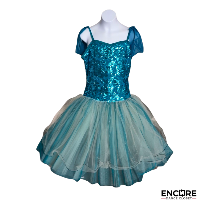 Blue Sequin Lyrical Dress with Flowing Chiffon Skirt  dress
