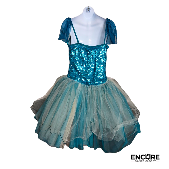 Blue Sequin Lyrical Dress with Flowing Chiffon Skirt  dress