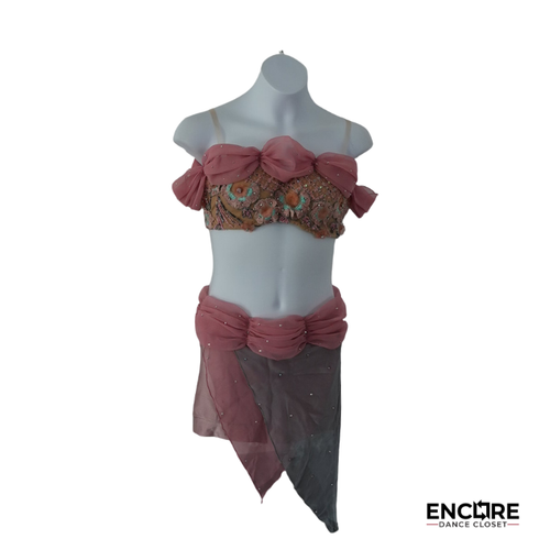 Rose & Sage Draped Chiffon Costume  two piece