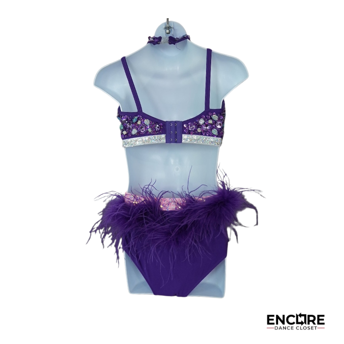 Purple and Pink Rhinestone Jazz Costume with Fringe  two piece