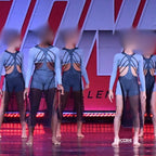 Sage Crop Top & Black Mesh Skirt  biketard