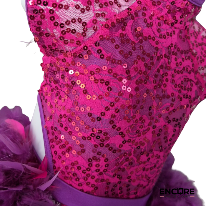 Hot Pink Sequin Feather Jazz Costume  leotard