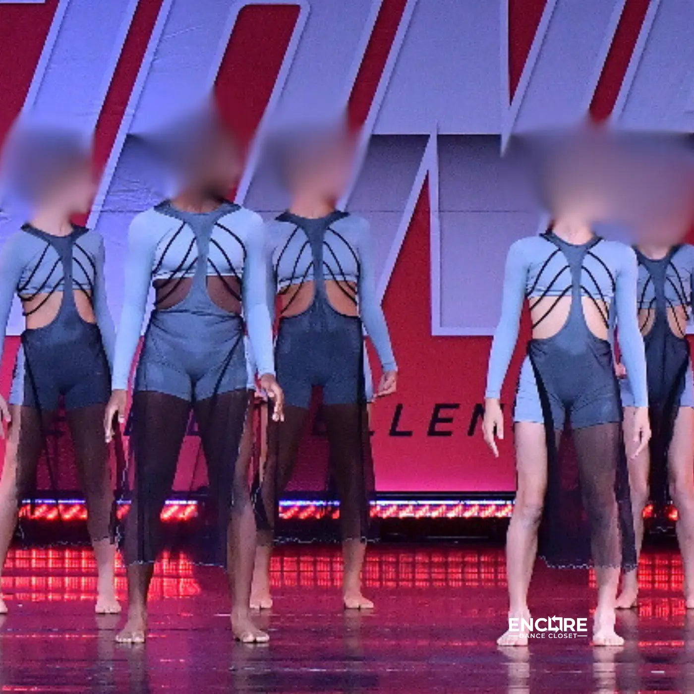 Sage Crop Top & Mesh Skirt  biketard