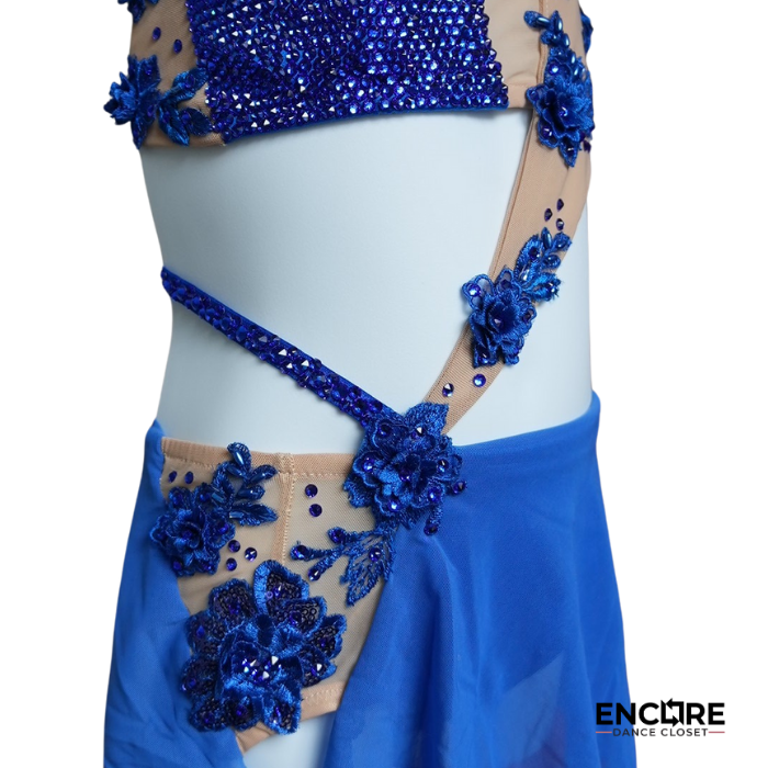 Striking Royal Blue Applique Costume