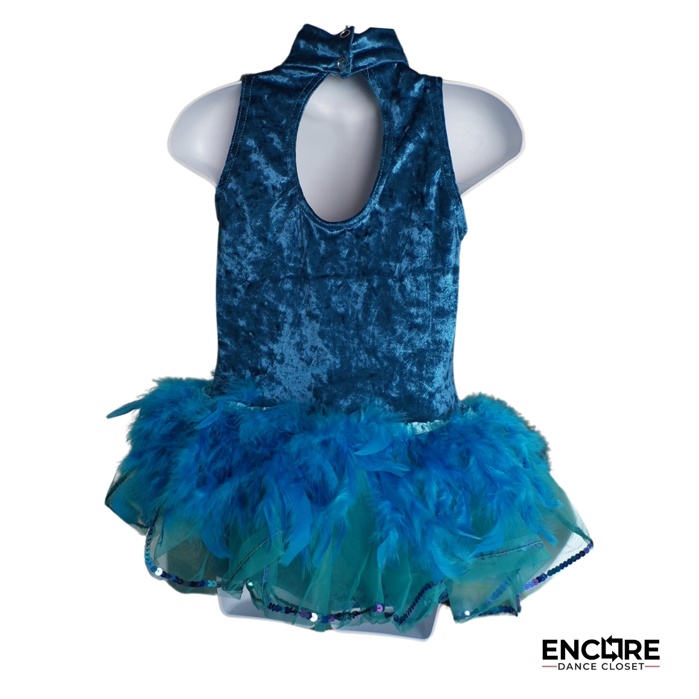 Peacock-Inspired Teal Velvet Costume