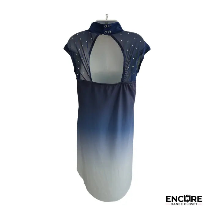 Starry Night  dress