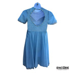 Blue Velvet Sweetheart Mesh Dress  dress