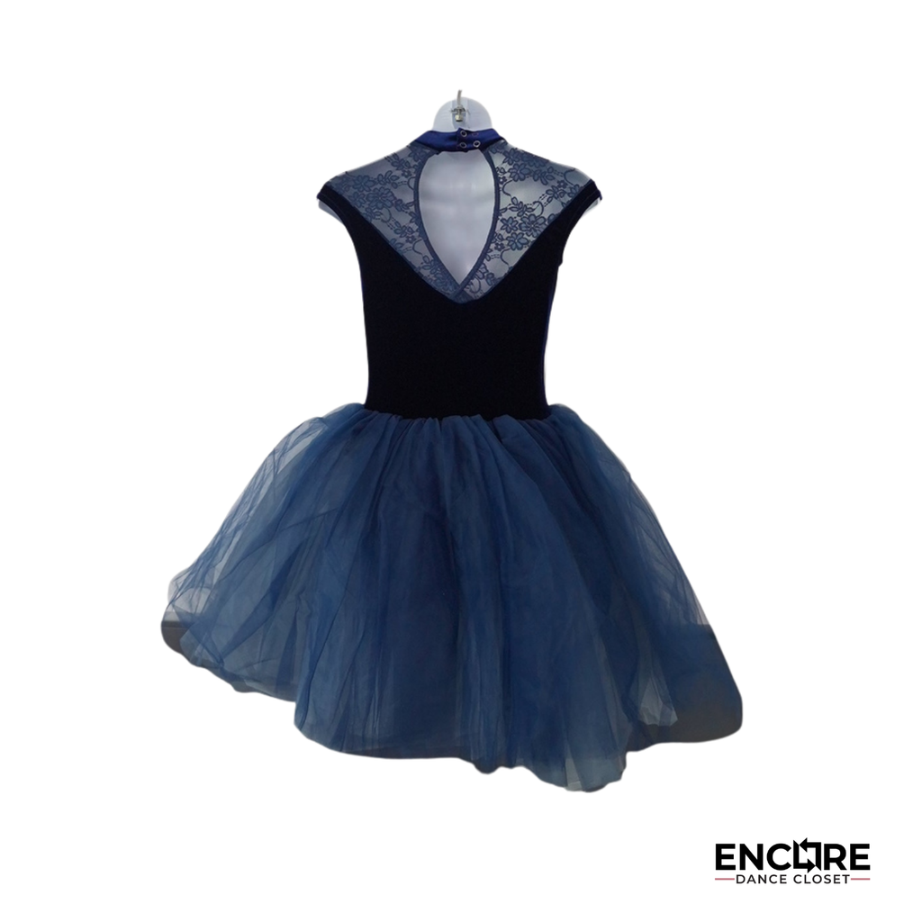 Navy Blue Lace Tutu Dress with Rhinestone Detail  dress