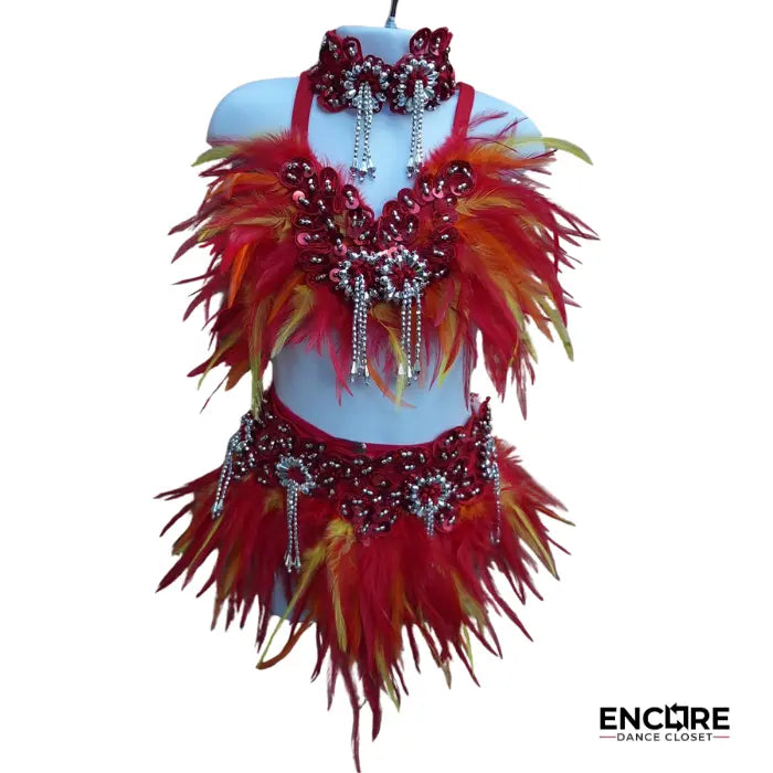 Phoenix Flame Feathered Dance Set  two piece