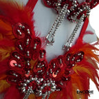 Phoenix Flame Feathered Dance Set  two piece