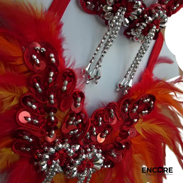 Phoenix Flame Feathered Dance Set  two piece