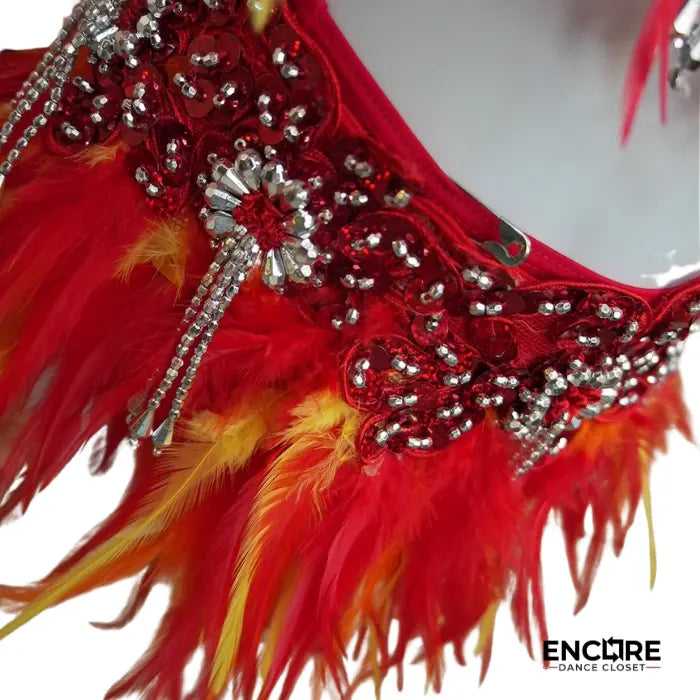Phoenix Flame Feathered Dance Set  two piece