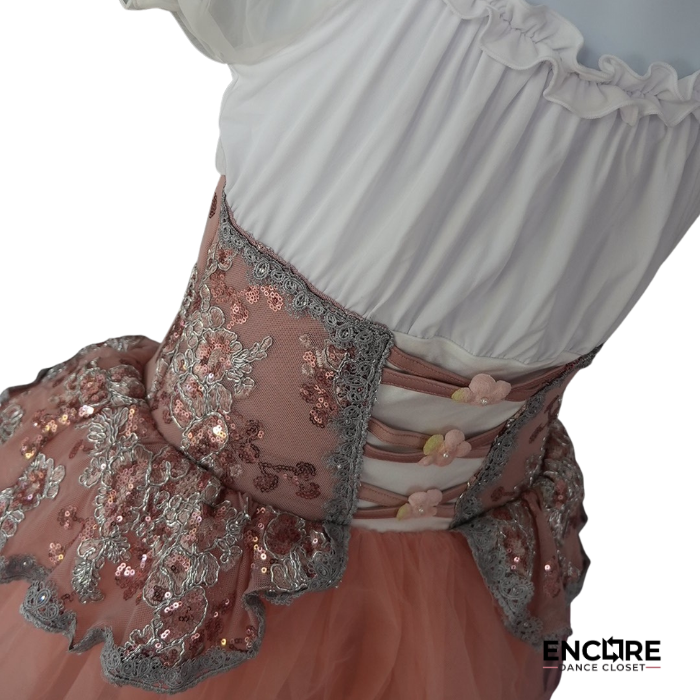 Blush Fairytale Ballet Costume  dress
