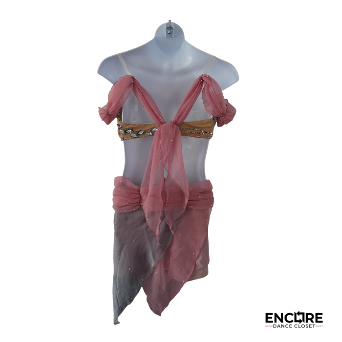 Rose & Sage Draped Chiffon Costume  two piece
