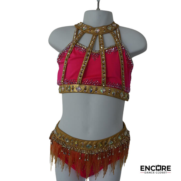 Pink and Gold Rhinestone Two-Piece Costume with Fringe Skirt  two piece