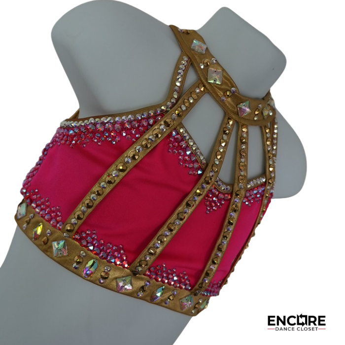 Pink and Gold Rhinestone Two-Piece Costume with Fringe Skirt  two piece