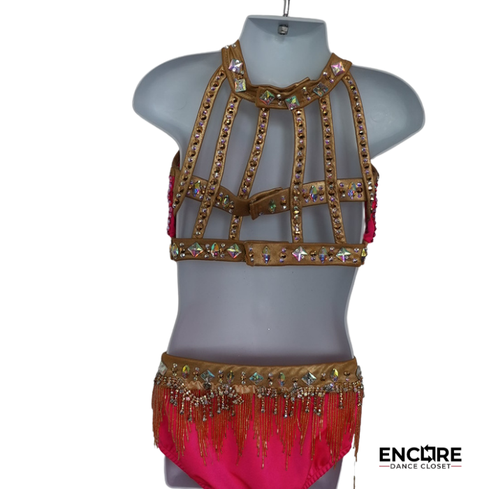 Pink and Gold Rhinestone Two-Piece Costume with Fringe Skirt  two piece