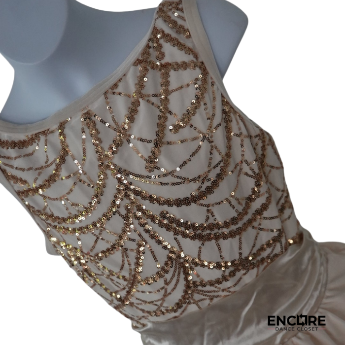 Champagne & Gold Sequin Ballet Tutu Dress  dress
