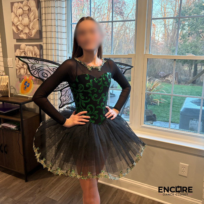 Emerald Fairy Wings Ballet Costume  dress