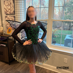 Emerald Fairy Wings Ballet Costume  dress