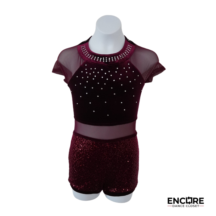 Wine Velvet & Sequin Biketard with Mesh Insets  biketard