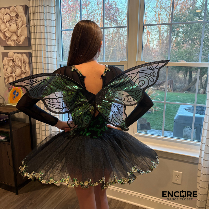 Emerald Fairy Wings Ballet Costume  dress