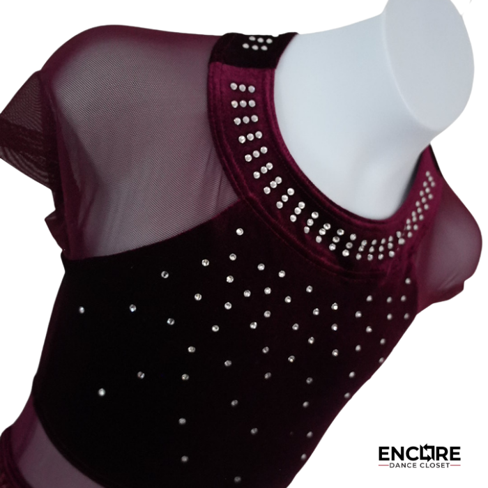 Wine Velvet & Sequin Biketard with Mesh Insets  biketard