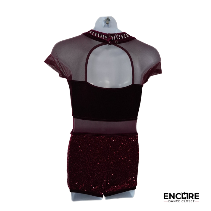 Wine Velvet & Sequin Biketard with Mesh Insets  biketard