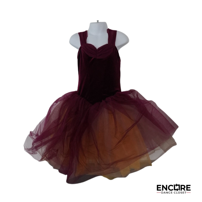 Burgundy Velvet Romantic Tutu with Sunset Ombré  dress