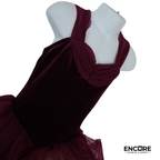 Burgundy Velvet Romantic Tutu with Sunset Ombré  dress