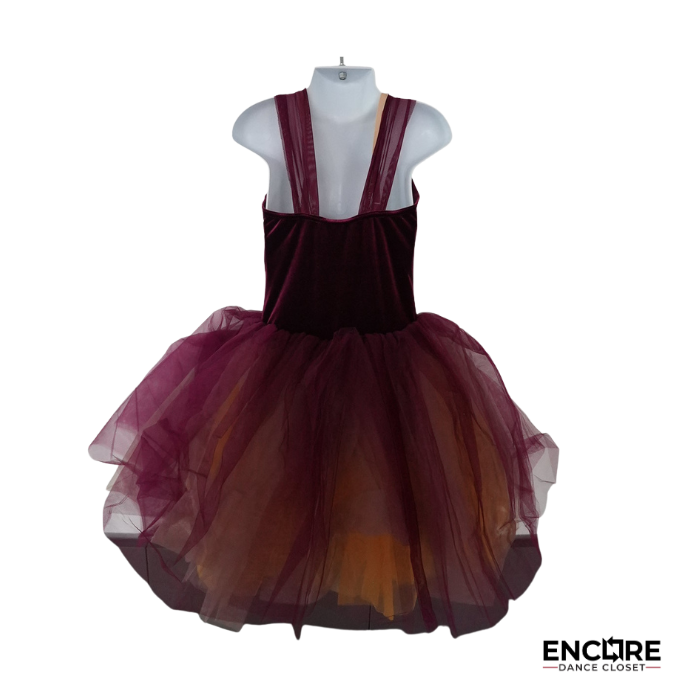 Burgundy Velvet Romantic Tutu with Sunset Ombré  dress