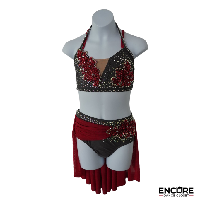 Rhinestone Two-Piece Costume w/Sheer Skirt  two piece