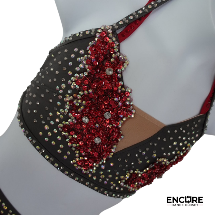 Rhinestone Two-Piece Costume w/Sheer Skirt  two piece