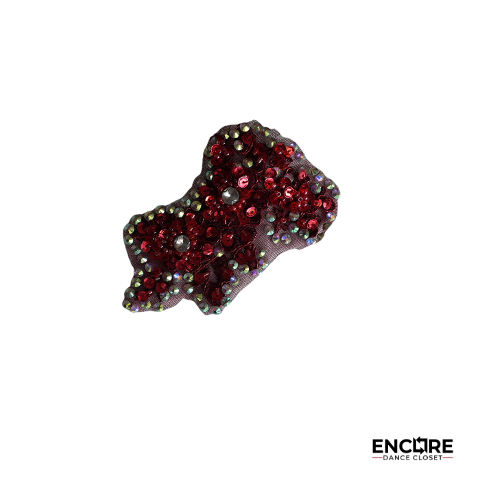 Rhinestone Two-Piece Costume w/Sheer Skirt  two piece