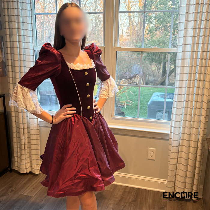 Burgundy Renaissance-Inspired Dress  dress
