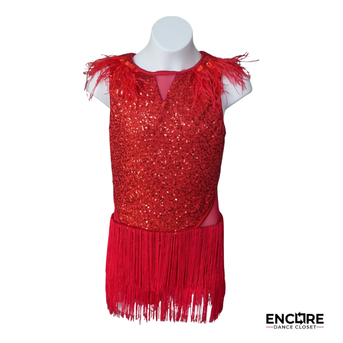 Crimson Heat Fringe Jazz Costume  dress