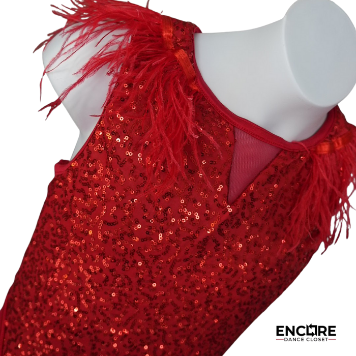 Crimson Heat Fringe Jazz Costume  dress