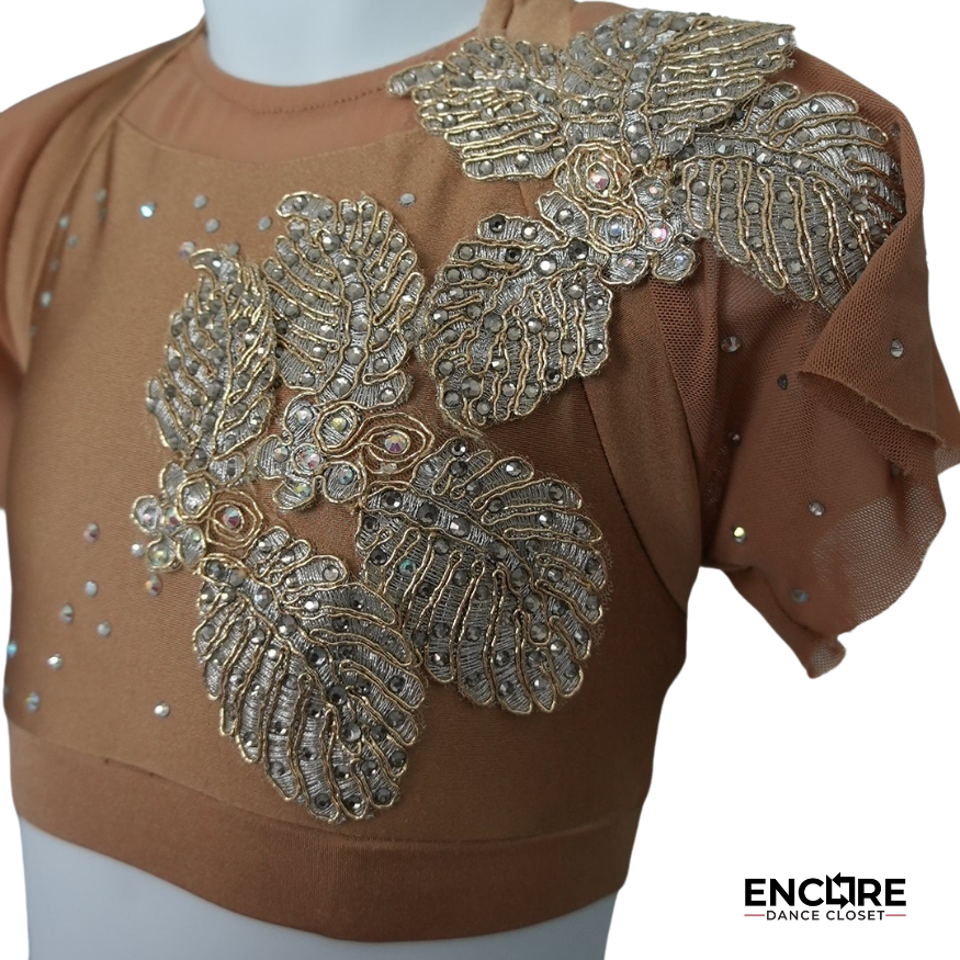 Golden Beige Set & Rhinestone Mesh Skirt - Encore Dance Closet