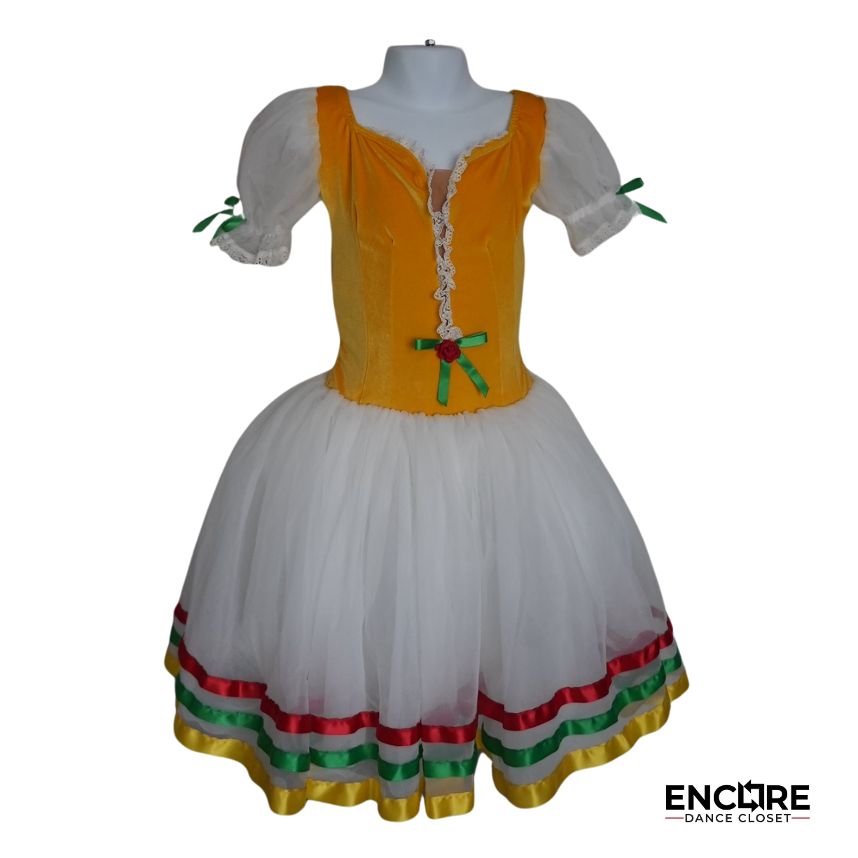 Festive Velvet Flair Dress