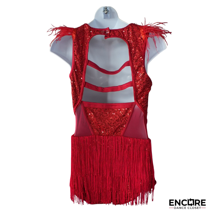 Crimson Heat Fringe Jazz Costume  dress