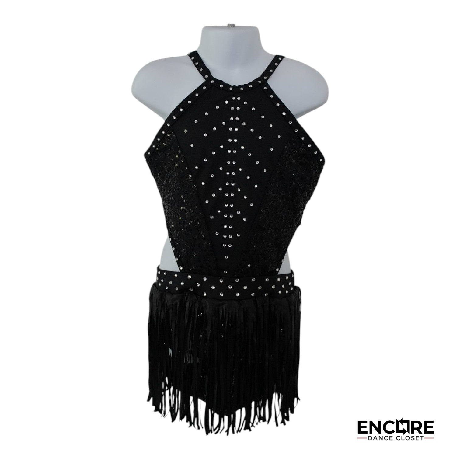 Shimmer & Shake  leotard