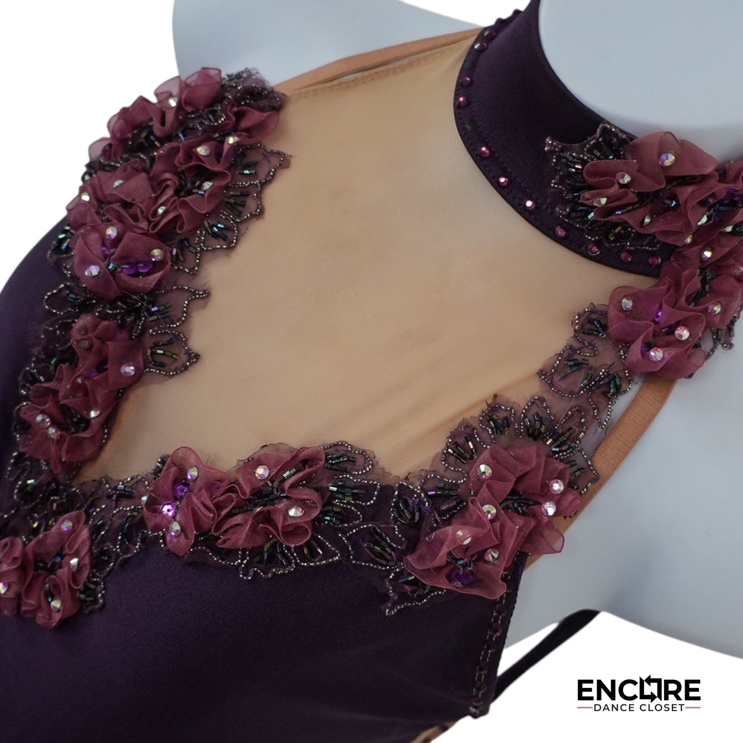 Plum Perfect  leotard