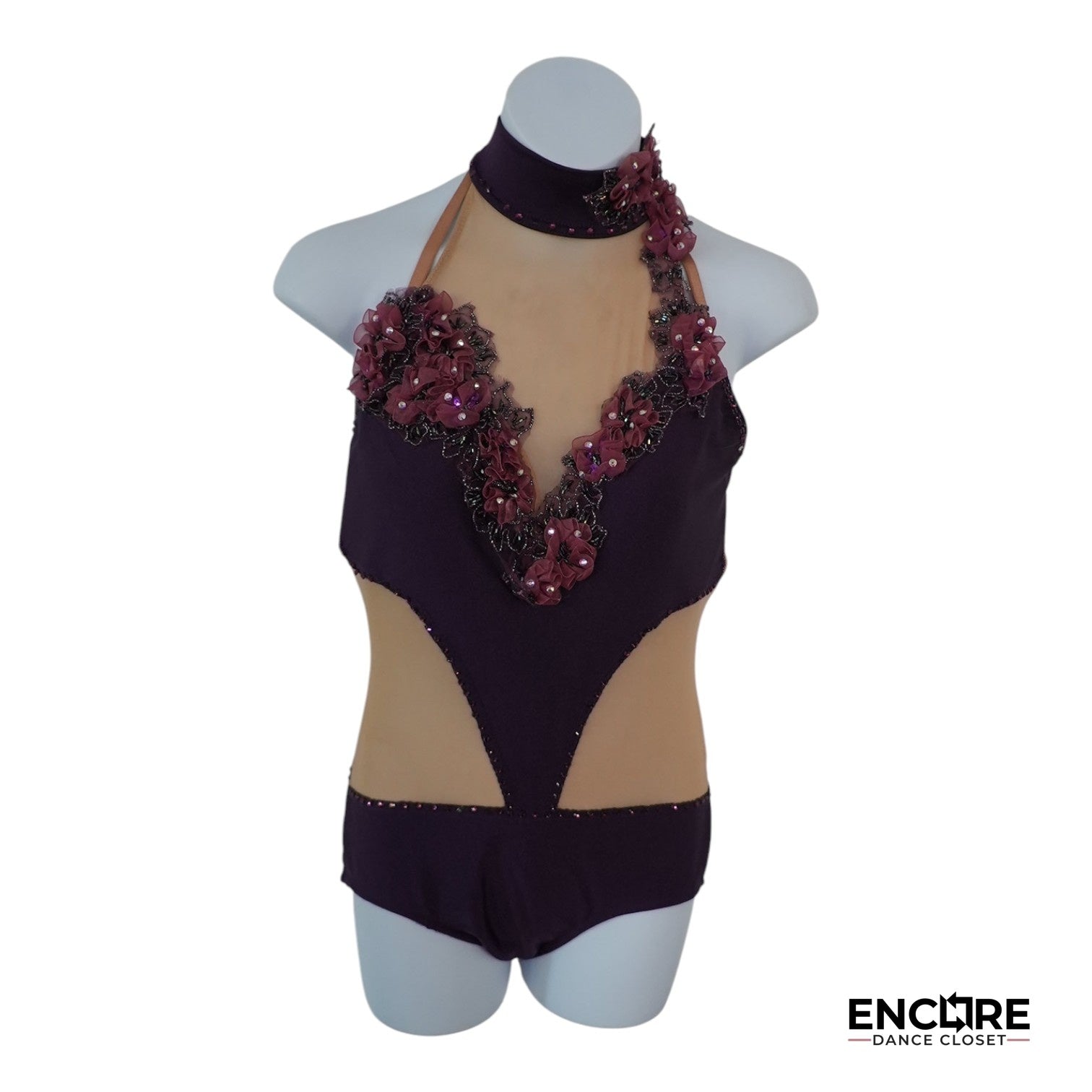Plum Perfect  leotard