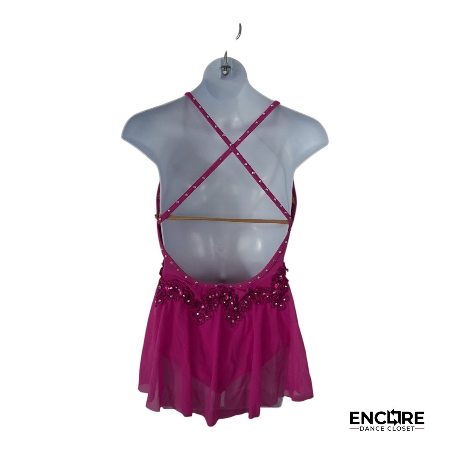 Chiffon Dreams  leotard