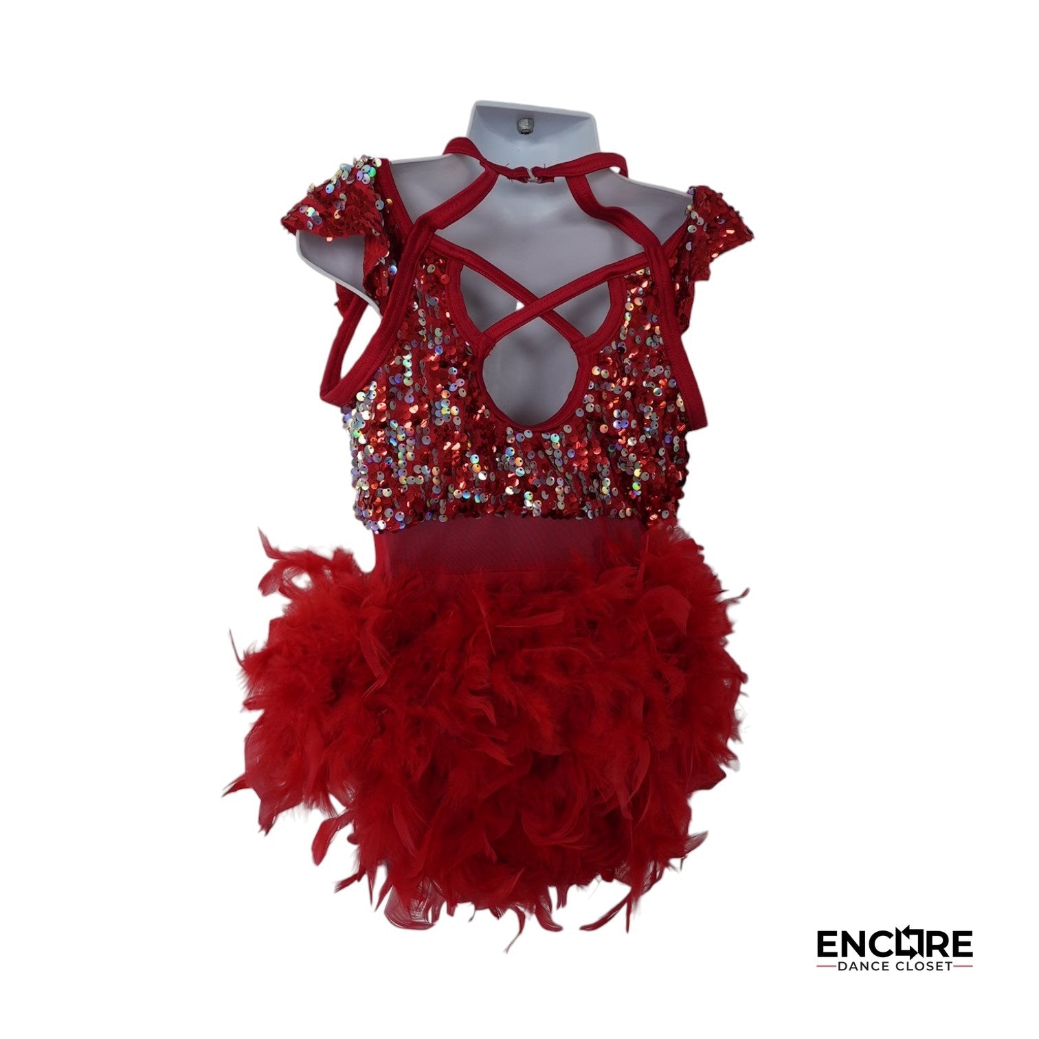 Feathered Flame  dress