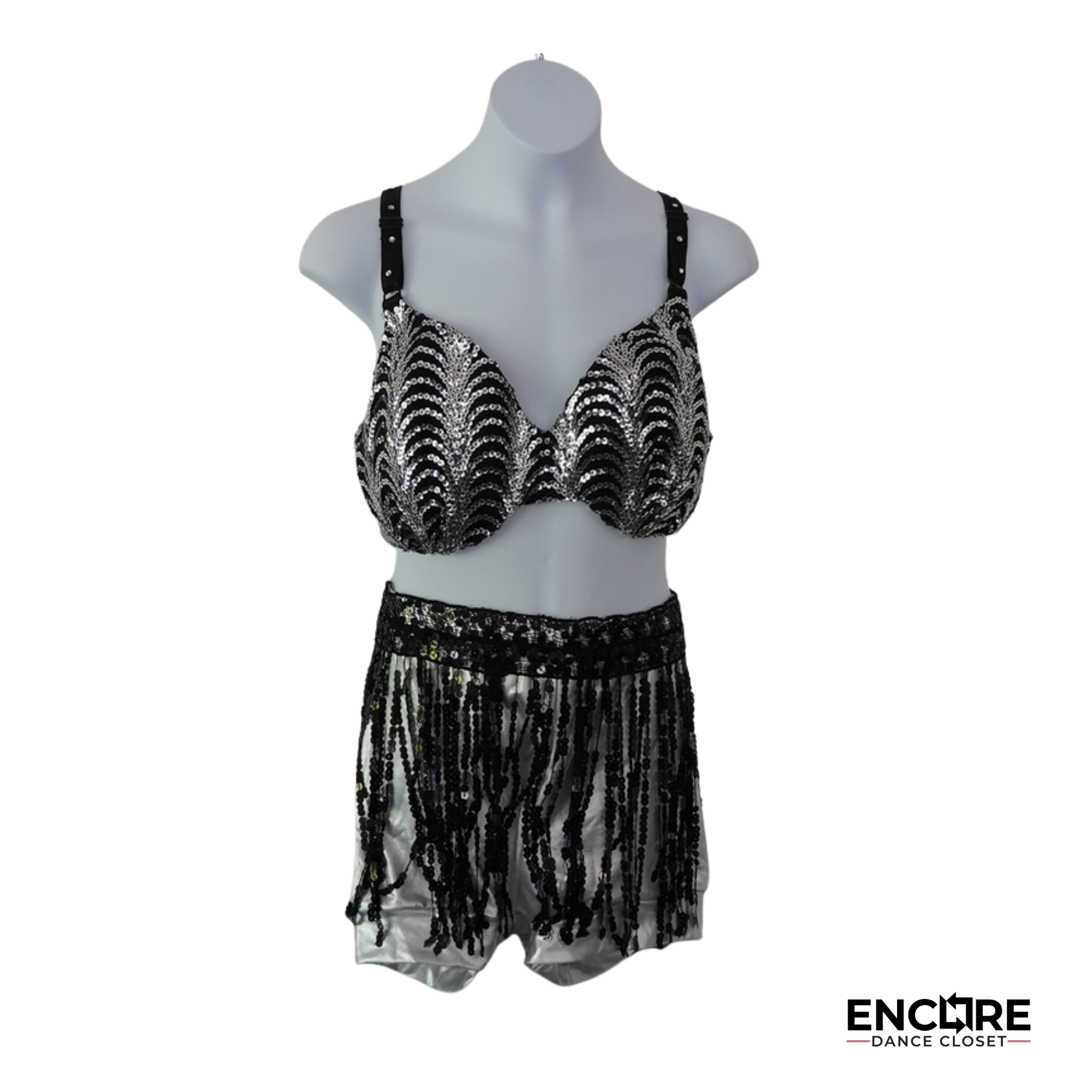 Black & Silver Fringe Sequin Costume  two piece