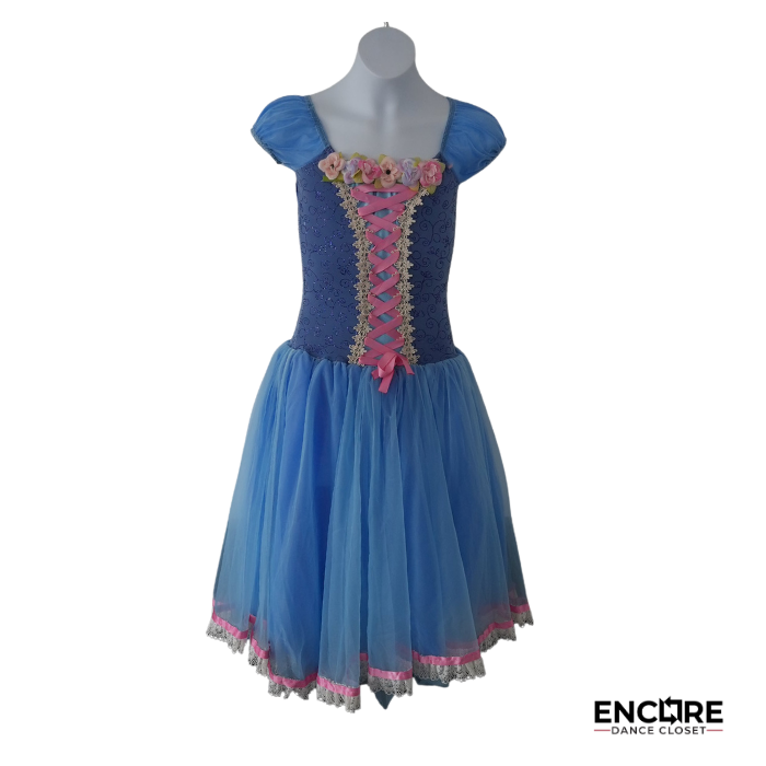 Storybook Princess Ballet Dress  dress